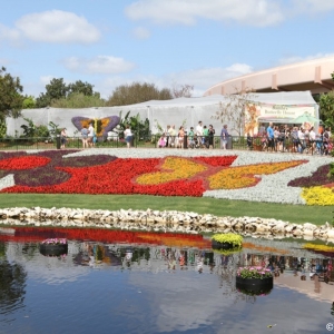 Epcot-Flower-Garden-2012-013