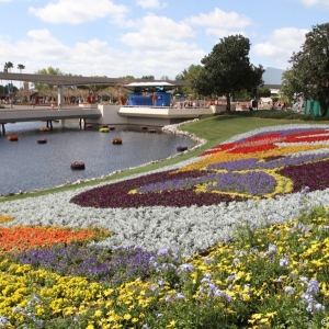 Epcot-Flower-Garden-2012-023