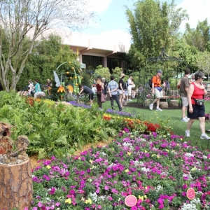 Epcot-Flower-Garden-2012-027