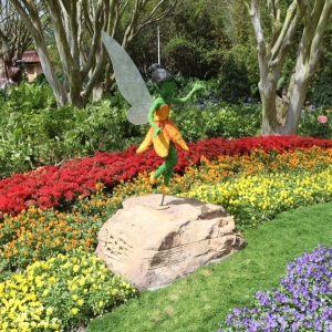 Epcot-Flower-Garden-2012-029