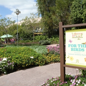 Epcot-Flower-Garden-2012-033