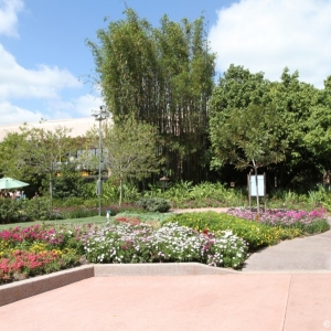 Epcot-Flower-Garden-2012-034