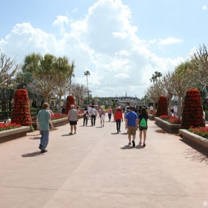 Epcot-Flower-Garden-2012-038