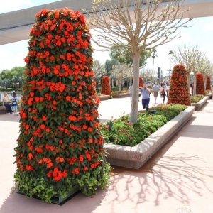 Epcot-Flower-Garden-2012-039