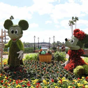 Epcot-Flower-Garden-2012-040