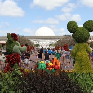 Epcot-Flower-Garden-2012-042