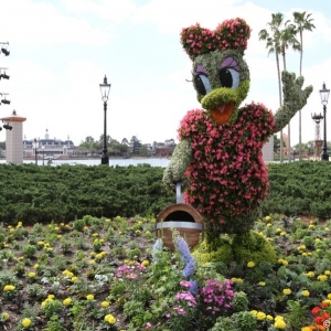 Epcot-Flower-Garden-2012-044