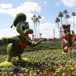 Epcot-Flower-Garden-2012-045