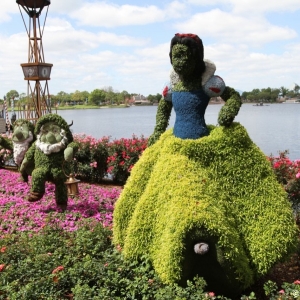 Epcot-Flower-Garden-2012-074