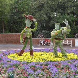 Epcot-Flower-Garden-2012-078