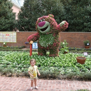 Epcot-Flower-Garden-2012-080