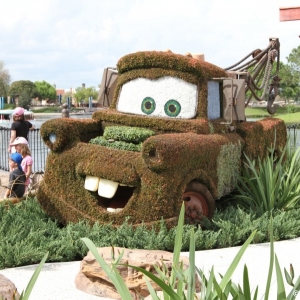 Epcot-Flower-Garden-2012-081