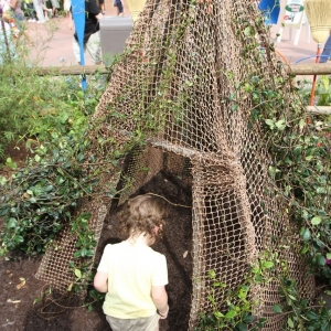 Epcot-Flower-Garden-2012-091