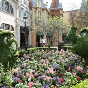 Epcot-Flower-Garden-2012-102