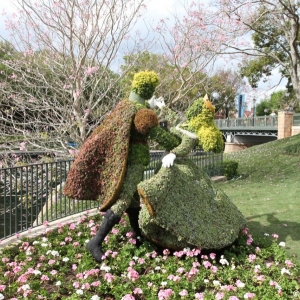Epcot-Flower-Garden-2012-103