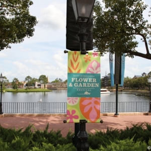 Epcot-Flower-Garden-2012-105