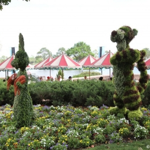 Epcot-Flower-Garden-2012-106