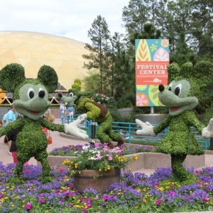 Epcot-Flower-Garden-2012-123