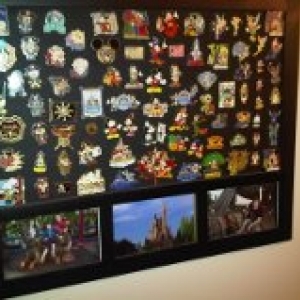 pin board with trip pics