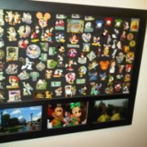 pin board with trip pics