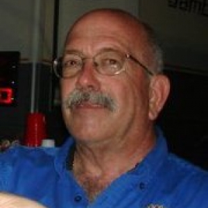 david
