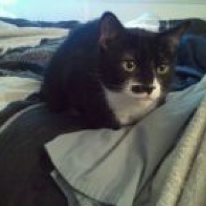 zoey