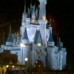 The Castle at Night