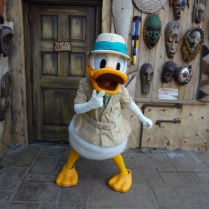 Donald Duck