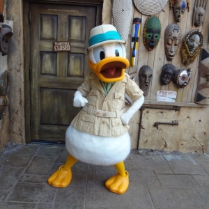 Donald Duck