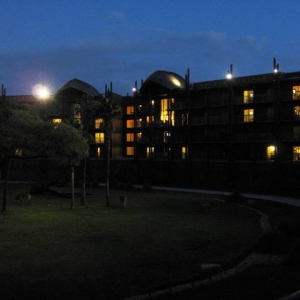 Kidani Savanna Lighting