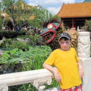 Dragon Tamer