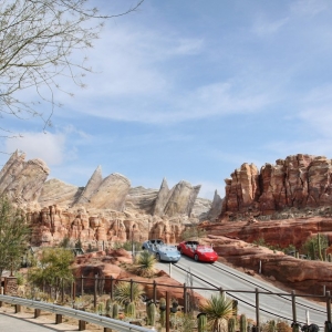 RADIATOR-SPRINGS-RACERS-006