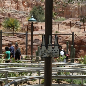 Radiator-Springs-Racers-007