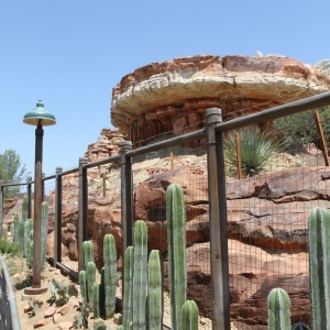 Radiator-Springs-Racers-055