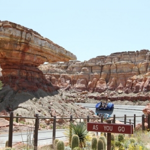 Radiator-Springs-Racers-057