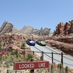 Radiator-Springs-Racers-060