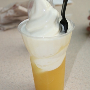 06 13 dole whip