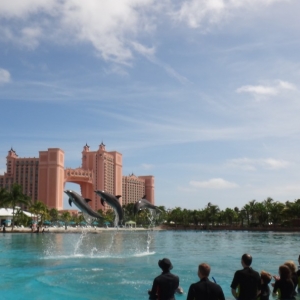 Atlantis Dolphin Adventure