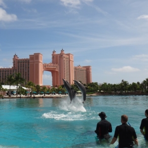 Atlantis Dolphin Adventure