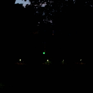 DSC_070311