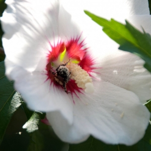 DSC_06858a