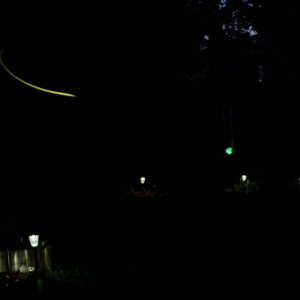 DSC_07019a