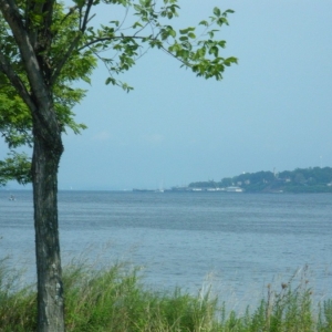 DSCN1730