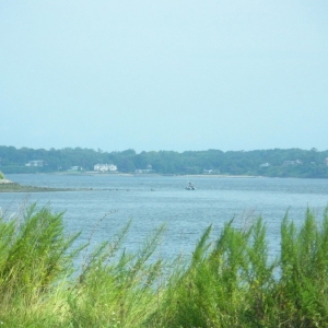 DSCN1732