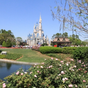 Cinderella-Castle-01