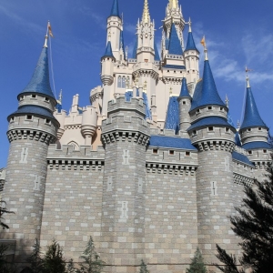 Cinderella-Castle-07