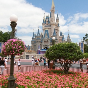 Cinderella-Castle-19