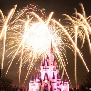 Cinderella-Castle-27