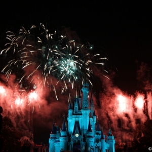 Cinderella-Castle-29