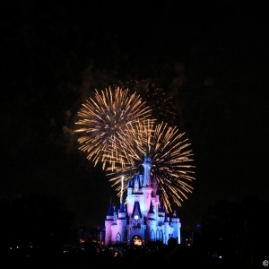 Cinderella-Castle-43